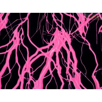 úplet plavkovina neon fuchsiový