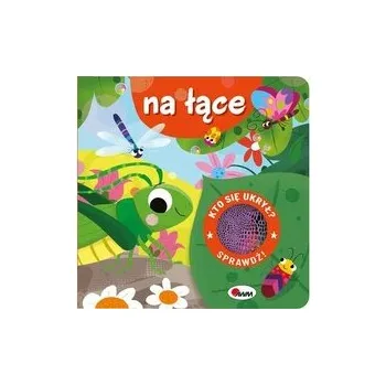 První čtění Kto się ukrył? Na łące - praca zbiorowa