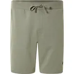 LIVERGY® Pánské teplákové kraťasy (zelená, L (52/54))