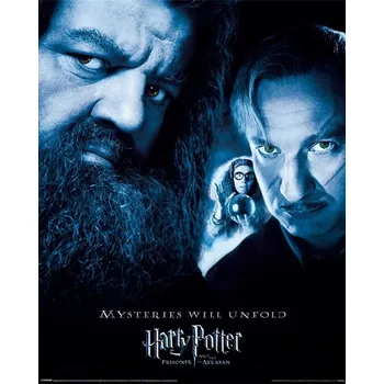 Obraz Plakát Harry Potter 40 x 50 cm