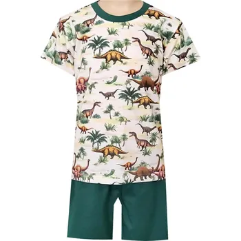 Chlapecké pyžamo Dětské Pyžamo FOLTÝN DP261 Velikost: 146