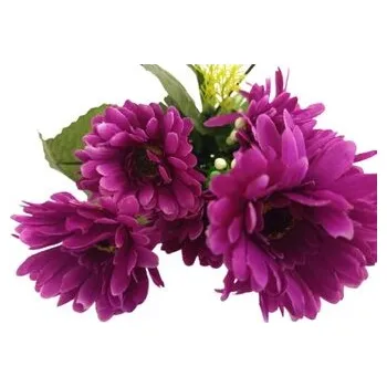 Gerbera kyt., fialová J153 fialová