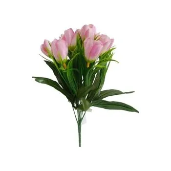 Sazenice Krokus svazek, sv. růžový JH044 sv. růžový