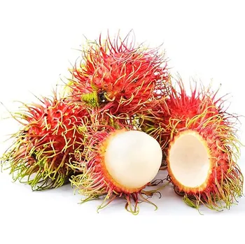 Sušené ovoce Rambutan 500 g