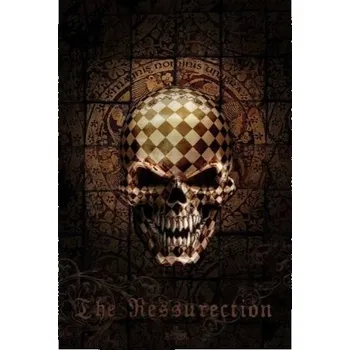 Obraz SPIRIT plakát 61x91cm