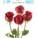 ARCH Okenní fólie růže 20 x 23,5 cm