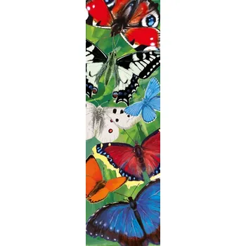 Doplněk ke knize Záložka - motýli