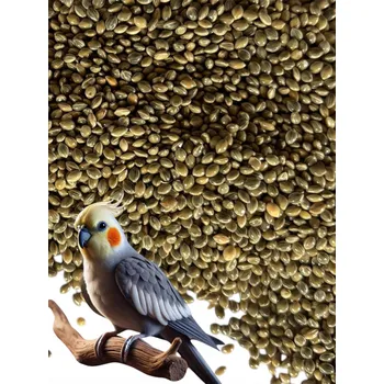 Krmivo pro ptáka Proso zelené 5 kg krmivo pro papoušky krmivo pro malé exotické papoušky