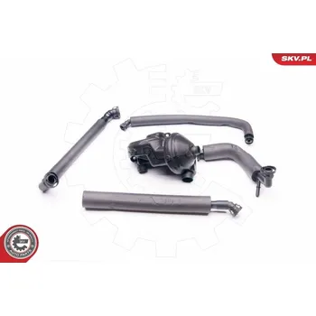 Autobaterie Reparatursatz, Kurbelgehäuseentlüftung ESEN SKV 31SKV045