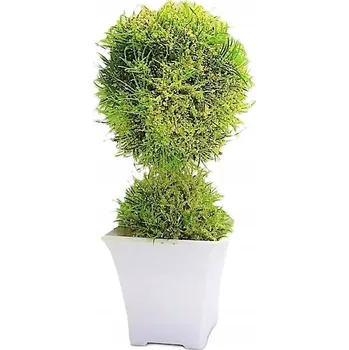 umělá květina UMĚLÁ KVĚTINA V BÍLÉM OBALU 23,5 CM