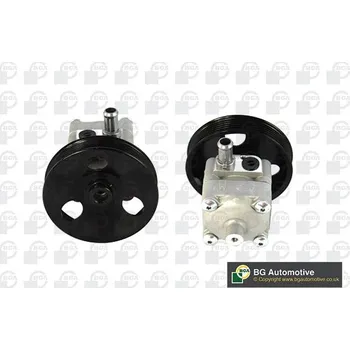 Posilovač řízení Hydraulické čerpadlo, řízení BGA PSP9710