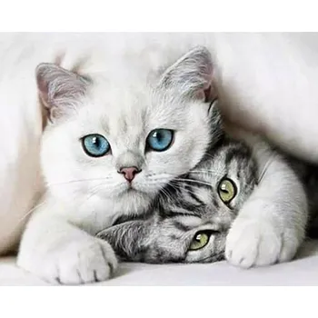 Diamantové malování Amparo Miranda® Diamantový obrázek Kočičky DM54