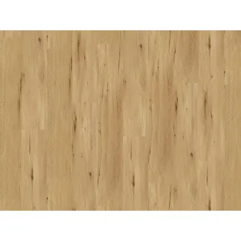 vinylová podlaha Vinylová podlaha lepená Wineo 400 XL Country Oak Nature