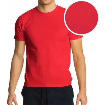 Pánské tričko Tričko Pánské Bavlněné Atlantic NMT-034 Tričko Klasické Pohodlné *M