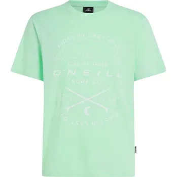 Pánské tričko Pánské tričko O'Neill JACK XL Světle zelená, Bílá