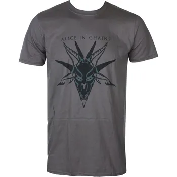 Pánské tričko Tričko metal pánské Alice In Chains - Black Skull Charcoal - ROCK OFF - AICTS01MC - XL