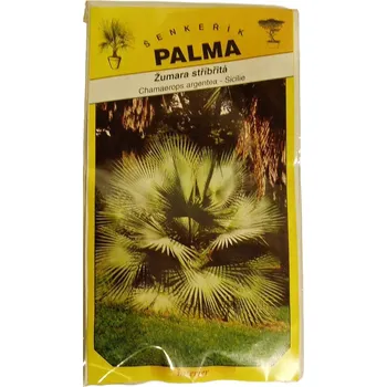 Semeno Semena Žumara stříbřitá – Chamaerops argentea