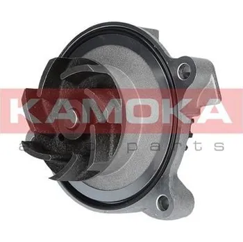 Motor automobilu Vodní čerpadlo, chlazení motoru KAMOKA T0271