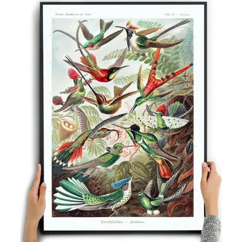 Obraz Plakát Obraz dekorace do interiéru bez rámu 70 x 50 cm