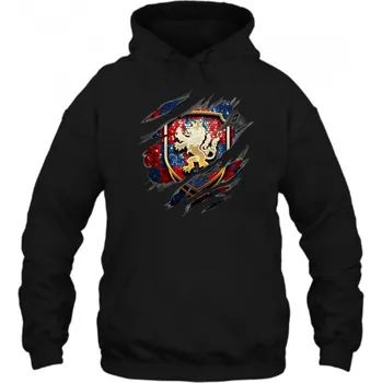 Pánská mikina Fandím Česku 2 Pánská Mikina Černá 2XL