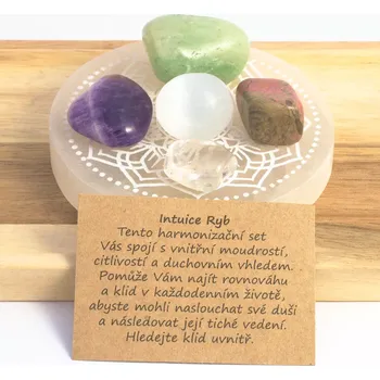 Intuice Ryb - Sada pro duchovní růst a klid