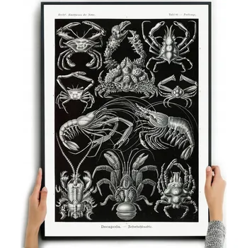 Obraz Plakát Obraz dekorace do interiéru bez rámu 29,7 x 42 cm