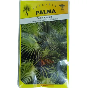 Semeno Semena Žumara jemná – Chamaerops gracilis