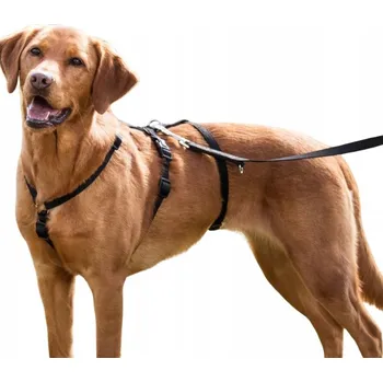 Postroj pro psa Trixie Postroj pro psy Panic Stay, nastavitelné, černé, velikost M-L