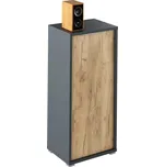 Skříňka, grafit / dub artisan, RIOMA NEW TYP 10