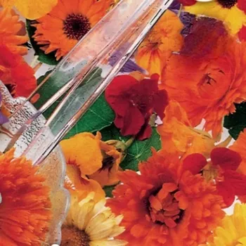 Semeno Směs květin - jedlé květy do salátů - osivo - Sperli - 1 ks