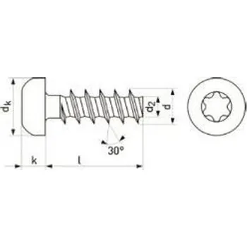 Šroub šroub do plastu 3.0x10 F ZINEK půlkulatá hlava TORX 10 Eco-syn, tupý, PLASFAST 30