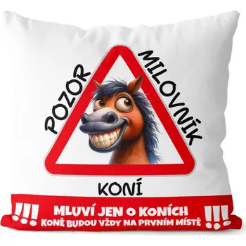 Dekorativní polštářek Polštář 40 x 40 cm - Pozor milovník koní