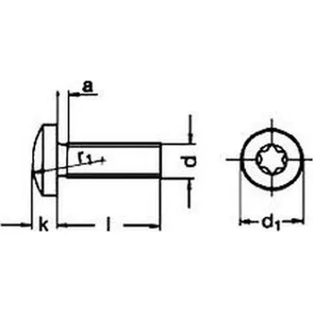 Šroub šroub M6x20 A2 NEREZ půlkulatá hlava TORX 30 DIN 7985 ISO 14583