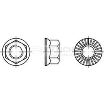 Matice matice M8 BEZ PÚ cl.10 ozubený límec RIPP