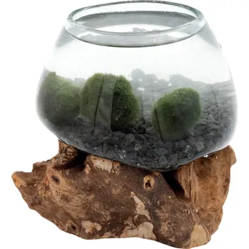 SET řasokoule a skleněná dekorace na dřevě - malá se štěrkem Barva štěrku:: Černý