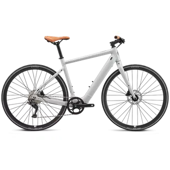 Elektrokolo Momentum Woya E+ 3 2024 S lunar