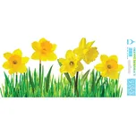 ARCH Okenní fólie 32 x 16 cm narcisy