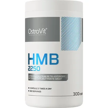 Fitness strava Ostrovit HMB 2250 300 kapslí