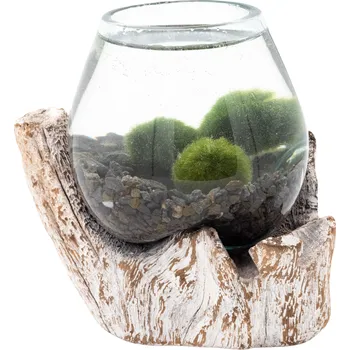 Akvárium SET řasokoule a skleněná dekorace na vymývaném dřevě - malá se štěrkem Barva štěrku:: Černý