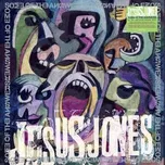 15CD/Box Set Jesus Jones: Some Of The Answers DLX | LTD 2022 Includes Signed Print
