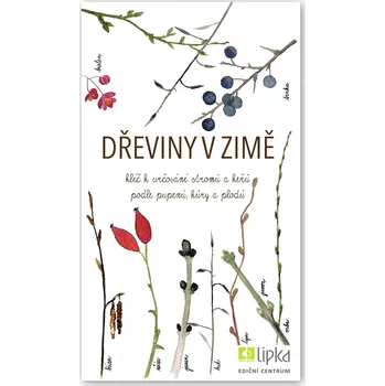 Lipka Dřeviny v zimě