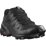 Salomon Pánské boty Speedcross 5 GTX EU 44 ⅔, Black/Black/Phanto