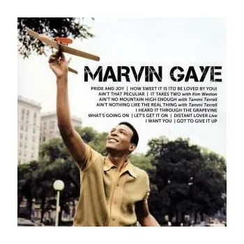 Zahraniční hudba CD Marvin Gaye: Icon 2010