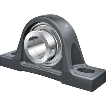 RASE100-XL INA litinové stojaté těleso s ložiskem zajištěným na excentr