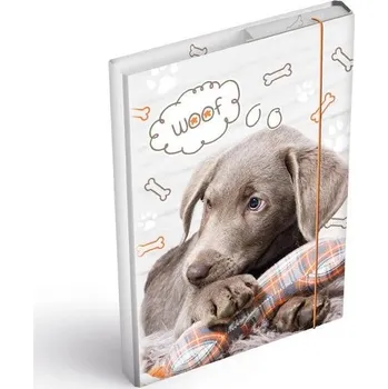 desky na sešit Box na sešity A4 MFP