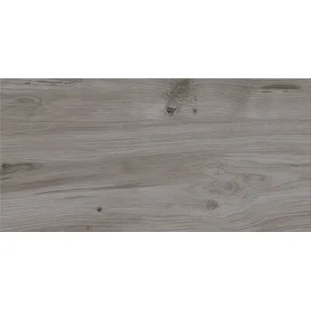 Dlažba DLAŽBA ASHVILLE GREY MAT 29,7X59,8 #085 (II. JAKOST)