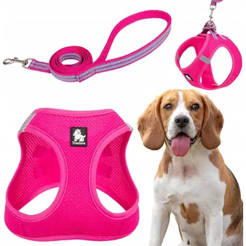 Postroj pro psa Postroj + vodítko pro malého psa Truelove Mini růžové L Jack Russell teriér