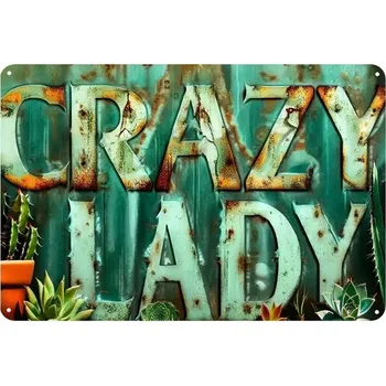 Plechová cedule BAF Plechová cedule Bláznivá lady 30 x 20 cm