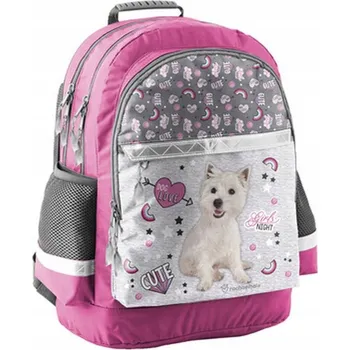 Školní batoh Školní batoh vícekomorový Paso bílý, odstíny šedé a stříbrné, růžový, 22 l