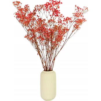 umělá květina Gipsówka Stabilizowana czerwona gypsophila velká KYTICE PREMIUM